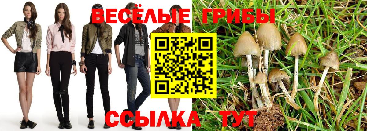 Галлюциногенные грибы мицелий  где купить   Таганрог  Вход с VPN 