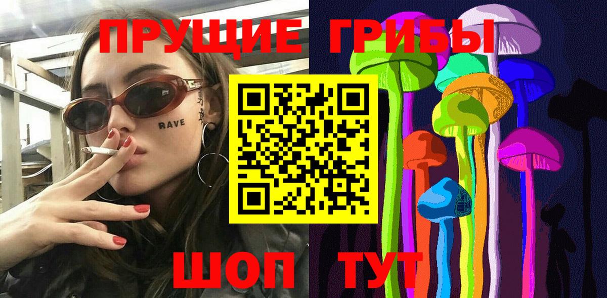 Галлюциногенные грибы Psilocybe Таганрог